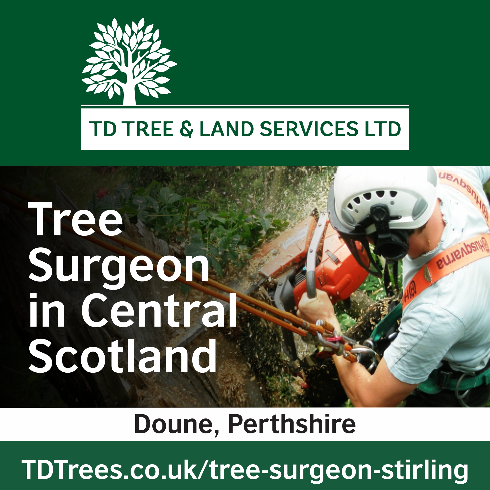 TD Trees Sterling